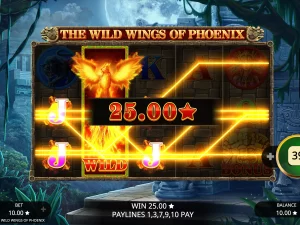 Machine à the wild wings of phoenix au casino King billy